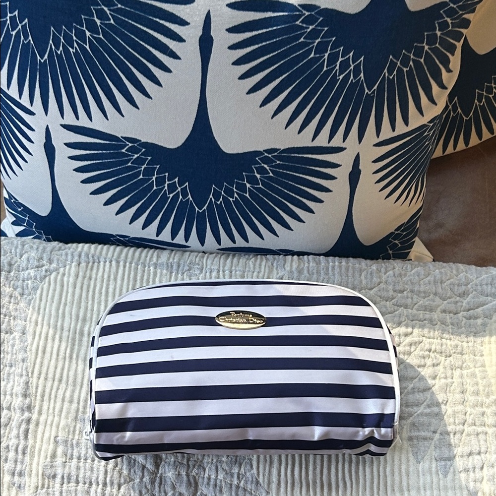 Christian Dior Bag Blue Stripe Vacation Essentials Bag Day Trip Excursions Bag